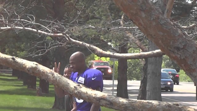 Adrian Peterson Entering Vikings Training Camp - iFolloSports.com