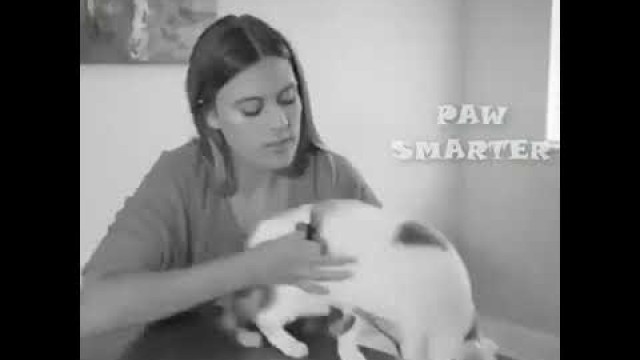 'Professional Illuminated Pet Nail Clipper'