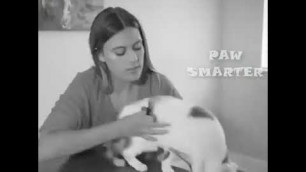 'Professional Illuminated Pet Nail Clipper'