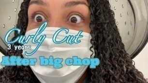 PROFESSIONAL CURLY CUT & STYLE | 3 YEARS AFTER BIG CHOP || MADDY923