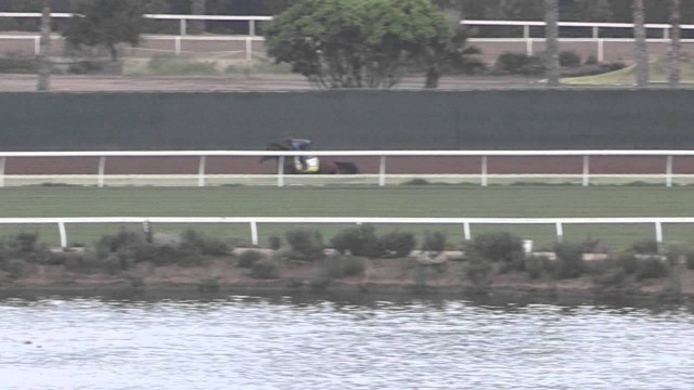 Workout: American Pharoah (7/18/15)