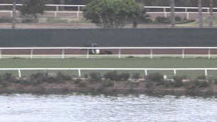 Workout: American Pharoah (7/18/15)