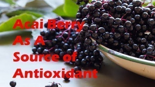 Acai Berry As A Source of Antioxidant