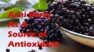 Acai Berry As A Source of Antioxidant