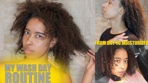My Wash Day Routine | Featuring Alodia Hair Care