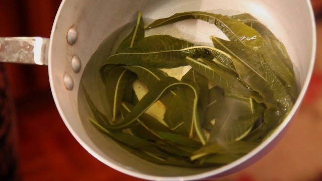 Metlakatla Fireweed Tea