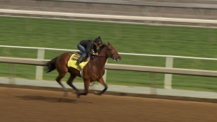 Bob Baffert used the word "wow" following American Pharoah's Work