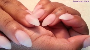 Stiletto Acrylic Nail Dinosaurs Fingers Nails Style ( American Nails )