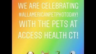 #AllAmericanPetPhotoDay - The Pets of Access Health CT - July 11, 2018
