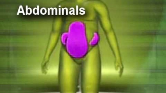 fat absorb