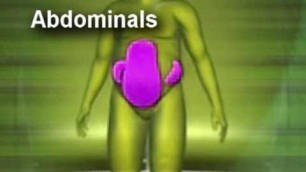 fat absorb
