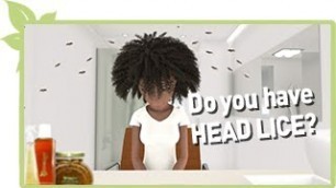 Do You Have HEAD LICE ? NATURAL HAIR