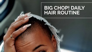 DAILY HAIR ROUTINE after BIG CHOP | #howto | EP. 2 | @NaturallyAsabi | #blackhair