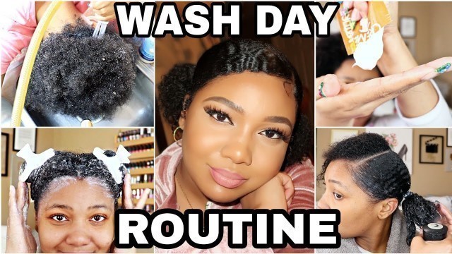 FULL WASH DAY ROUTINE *after braids* | 10 Step Natural Haircare Regimen | MAINTENANCE SERIES