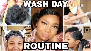 FULL WASH DAY ROUTINE *after braids* | 10 Step Natural Haircare Regimen | MAINTENANCE SERIES