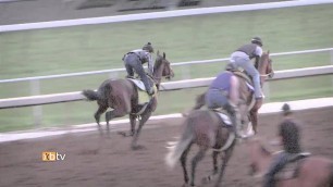 American Pharoah and Beholder impress in their workouts at Santa Anita Park