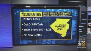 Allegheny Co. Health Dept. Reports 29 New Coronavirus Cases, Total Countywide Now 9,932