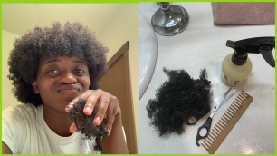 MY 3RD BIG CHOP NATURAL HAIR JOURNEY | trapology