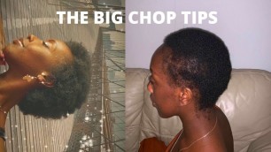 TIPS ON HOW TO GROW YOUR HAIR AFTER THE BIG CHOP