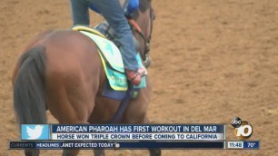 American Pharoah has first workout at Del Mar