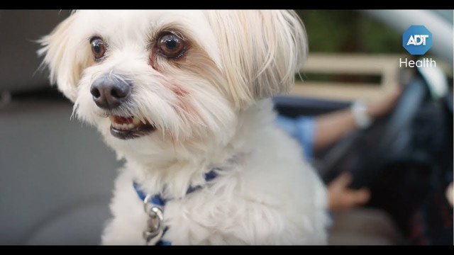 Protect your loved ones with ADT Health