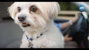 Protect your loved ones with ADT Health