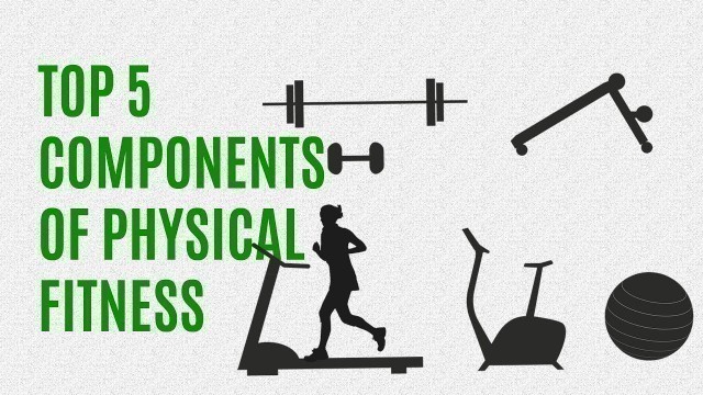 'Top 5 Components Of Physical Fitness Fast | Keep Fit Stay Healthy | Live Long'