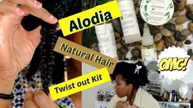 Natural Hair Regimen with Alodia Hair Care│Living With Shea
