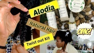Natural Hair Regimen with Alodia Hair Care│Living With Shea