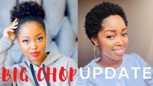 6 MONTH BIG CHOP UPDATE + MY FAVOURITE WINTER HAIR CARE PRODUCTS | TSHEGO MAKOE