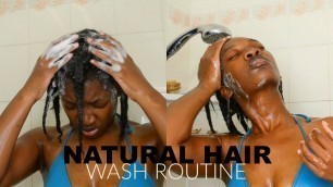 How To Wash Hair In Braids | NO MORE TANGLES | 4C NATURAL HAIR WASH ROUTINE |  Clarify Natural Hair