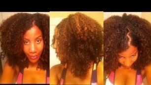 [47] Natural Hair Regime: A Quick and Easy Wash and Go Using Shea Butter