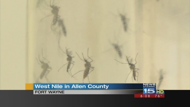 West Nile Virus in Allen County