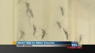 West Nile Virus in Allen County
