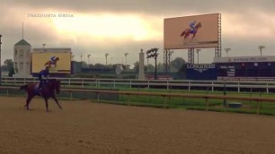 American Pharoah at Churchill Downs Workout