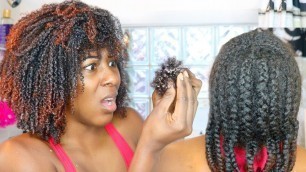 1 1/2 MONTH DOOKIE BRAIDS!!! // My Natural Hair WASH DAY ROUTINE After Protective Style