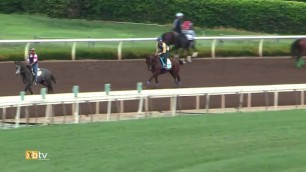 XBTV Training with the Stars: American Pharoah Day 1