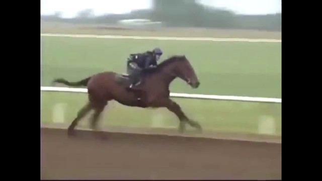 A little twist on American Pharoah's 2 year old workout