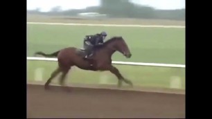 A little twist on American Pharoah's 2 year old workout