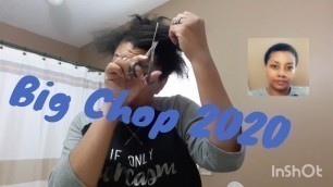 Big Chop 2020 after 4 months Transitioning | My Natural Hair Journey #nikkinickels
