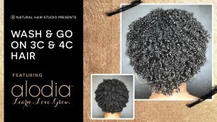 Wash & Go on 3C/4C Hair ft. Alodia Haircare Products | N Natural Hair Studio