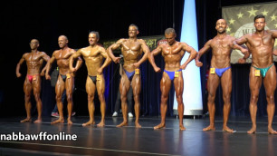 'Vergleiche – Männer Fitness - WFF Germany 2017'