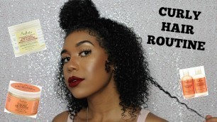 CURLY HAIR ROUTINE | Wash and Go | Natural Hair