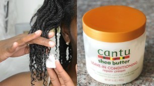 How To Moisturize Dry Natural Hair | Mini Twists | How To Grow Long Natural  Hair | Retain Length