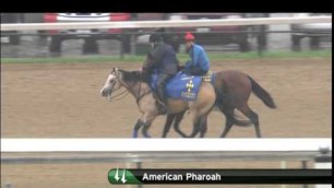 American Pharoah workout Churchill 6 1 15