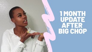 1 month UPDATE after #BIGCHOP | @NaturallyAsabi | EP. 3 | #blackhair