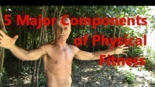 '5 Major Components of Physical Fitness'