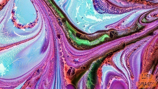 15.- Macro Photography - ABSTRACT Fluid