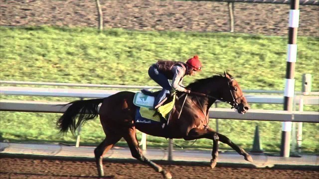 American Pharoah