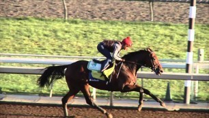 American Pharoah
